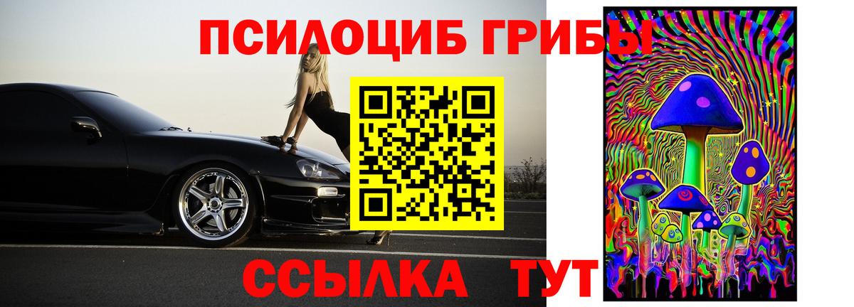 Галлюциногенные грибы Psilocybe  Псилоцибиновые грибы прущие грибы  Тихорецк  Вход с VPN 